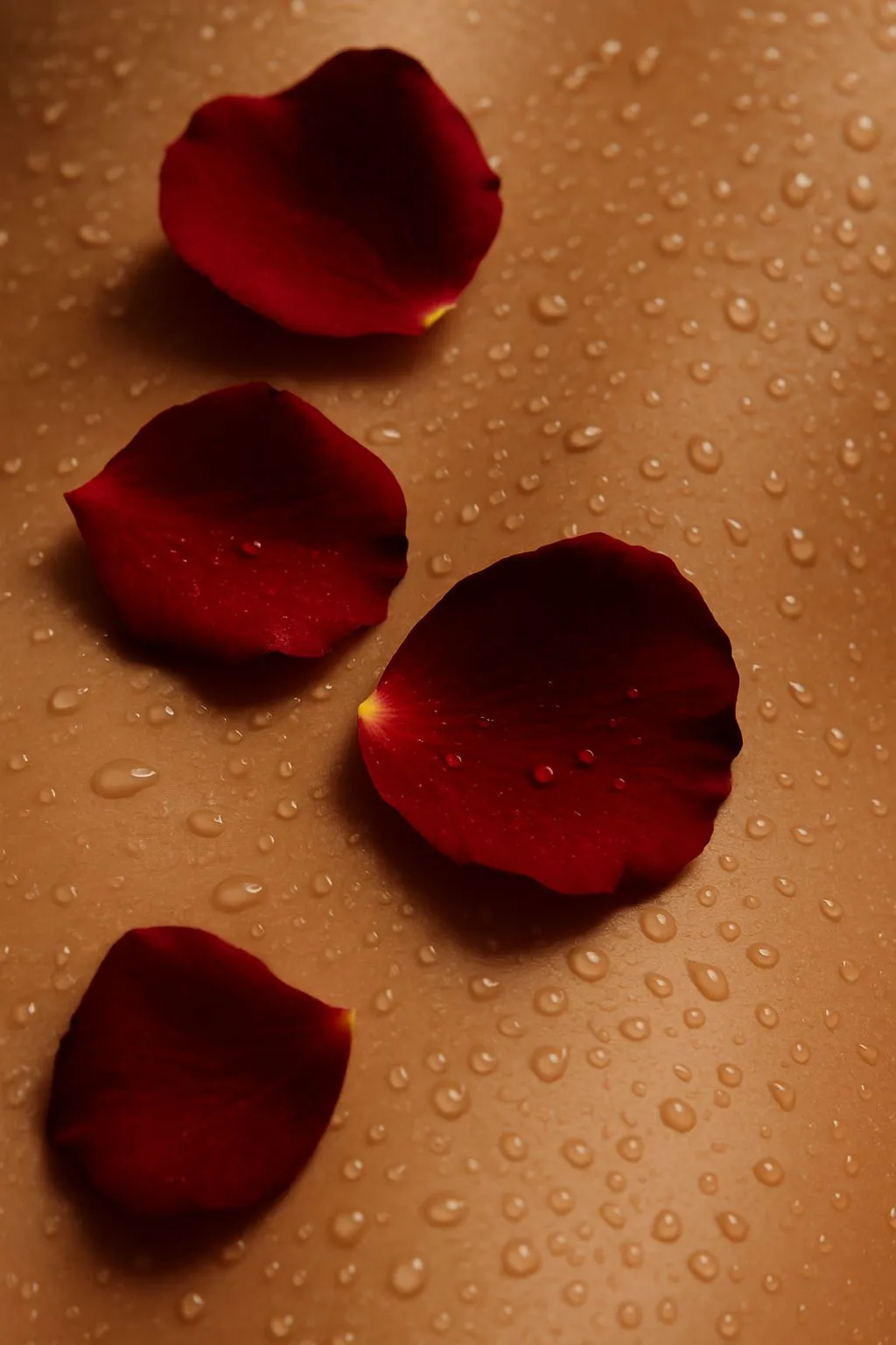 🌹 Ritual of Roses